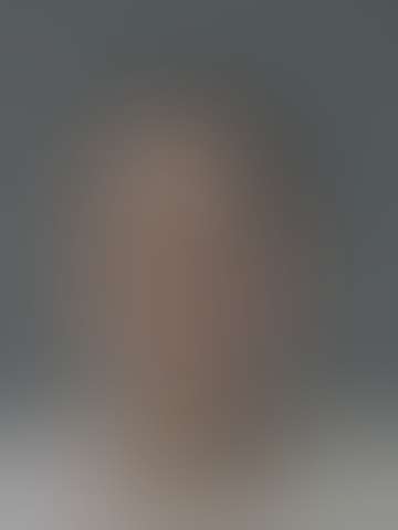 Locked booking photo