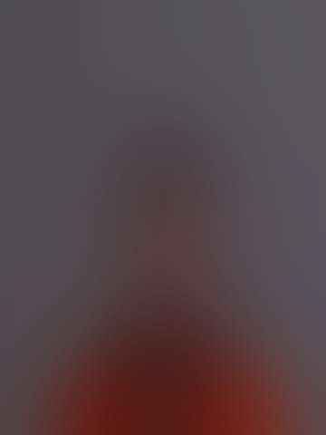 Locked booking photo