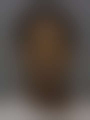 Locked booking photo