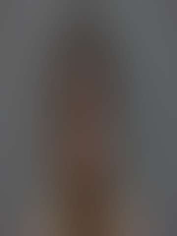 Locked booking photo