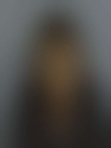 Locked booking photo